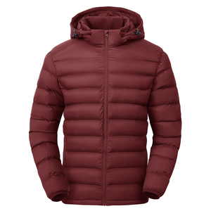 Vestes d'hiver matelassées pour hommes, légères, imperméables, à capuche, surdimensionnées, avec logo personnalisé en gros, veste d'extérieur en 2026 - Product Image 1