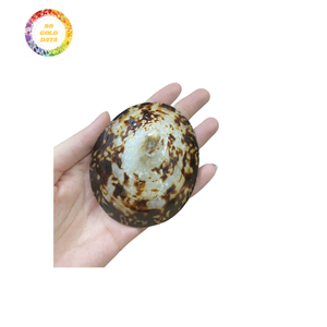 Coquilles abordables en vrac pour la décoration d'aquarium, l'intérieur de la maison, la conception de bijoux et les projets d'artisanat dans le monde entier - Product Image 1