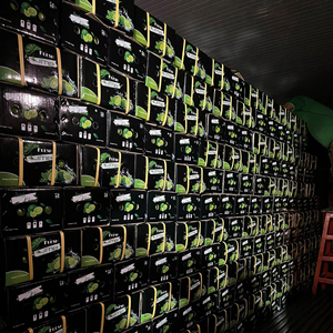 มะนาวไร้เมล็ดจากเวียดนามมีอายุการเก็บรักษายาวนานสำหรับการค้าปลีกในผลส้มสด - Product Image 1