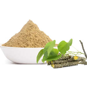 High Quality Tinospora Cordifolia Giloy Extract Powder Healthcare Herbal Supplement Made India Artificial <b>Planting</b> Polybag - Product Image 5