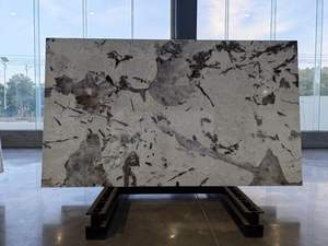 Patrón de estatuilla de losas y azulejos de lujo de mármol de Patagonia pulido para una elegancia atemporal y brillo interior - Product Image 4