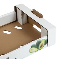 Hoge Kwaliteit Golfkarton Papieren Lade Voor Verse Avocado Fruit Verpakking Verschillende Stijlen Embossing Matte Laminering Opties