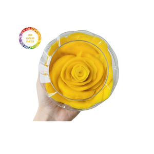 Tranches de mangue séchées douces de qualité supérieure, sucrées et moelleuses, avec saveur naturelle, en gros, en vrac, en-cas, emballage sous vide - Product Image 4