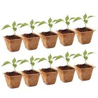 Pots de CocoCoir compressés de qualité Alternative saine naturelle pour la croissance des plantes Pots de fleurs en cosse de noix de coco verte pour votre jardin