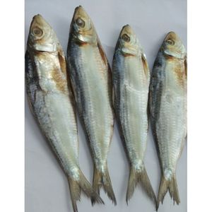 ปลาเฮร์ริ่งเวียดนามแห้ง – อาหารทะเลพร้อมปรุง ขายส่ง - Product Image 3
