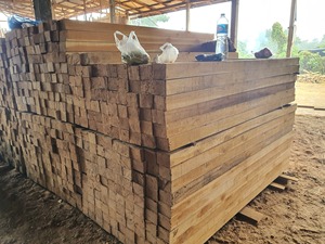 Madera aserrada de primera calidad de Laos, suministro de madera consistente - Product Image 4