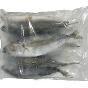 Pescado Scad de Ojo Grande Entero Congelado a Granel IQF Vietnam Venta al por Mayor Precio Bajo - Product Image 2
