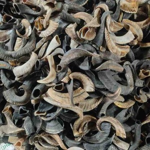 FAIZA CRAFT Ecológico Cuerno de búfalo Perro Chew Treat Toys-Tuffie Cut Múltiples tamaños (Pequeño/Mediano/Grande/Extra Grande) Hecho Uttar - Product Image 1