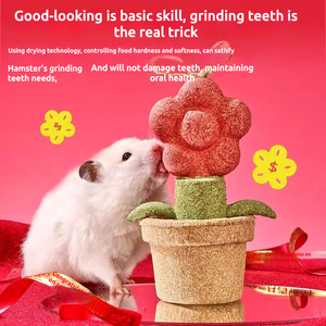 แพ็กเกจอาหารหนูแฮมสเตอร์ที่ใส่ฟันที่เป็นมิตรกับสิ่งแวดล้อมส่วนผสมจากพืชสามารถปรับแต่งได้ - Product Image 4