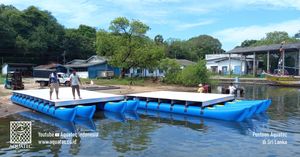 Bote Pontón Insumergible AQT, Material HDPE, Duradero y Multifuncional, Longitud 10.5 Metros X 4.5 Metros, Capacidad 6 Toneladas - Product Image 2