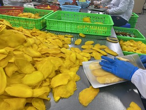 Por bolsa OPP Mango secado suave Alta calidad Venta caliente 100% Frutas frescas Frutas orgánicas suaves del fabricante de Vietnam - Product Image 3