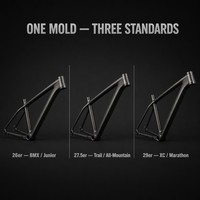 Cadre de VTT en fibre de carbone 1,2 kg 29er Hardtail avec passage interne des câbles, axe traversant, logo OEM personnalisé, fourniture directe usine