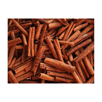 Cannelle naturelle de haute qualité en gros, poudre brute séchée du Brésil