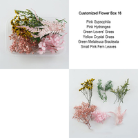 Konservierte Blumen-Materialbox Gemischte Mini-Trockenblumen Epoxidharz Nagelkunst Schmuck DIY Handwerk Großpackung Valentinstag