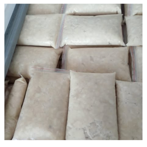 FRUIT BIOLOGIQUE DE PULPE DE SOURSOP CONGELÉE IQF EMBALLÉ EN VRAC IDÉAL POUR UN USAGE INDUSTRIEL - Product Image 3