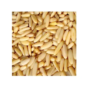 Vente en gros Graines de pignons de pin Noix de pin pures et biologiques pour usage culinaire et nutritionnel Fournisseur de pignons de pin en vrac avec livraison rapide - Product Image 5