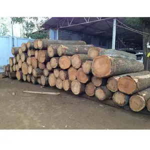 橡木和白蜡木/木材KD 8%-12%/木材/锯材成批出售