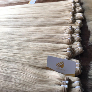 Genius Trame Vietnamienne 100% Remy Extensions de Cheveux Humains Bruts Machine Double Trame Os Droit Super Dyed Blonde 8 ''-20'' Gratuit - Product Image 1