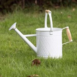 Bidon d'eau en métal de grande capacité avec poignée confortable et bec étanche pour un arrosage efficace dans les jardins - Product Image 6