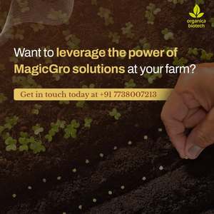 Promotor del Crecimiento de Plantas MagicGro para Soja con Tratamiento Biológico y Tolerancia al Estrés, Consortia Microbiana en Polvo Blanco - Product Image 5