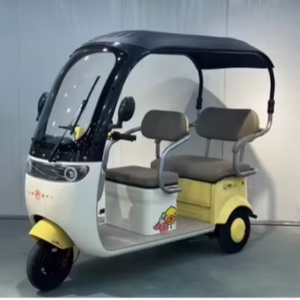 CLEAN <b>SALE</b> Tricycle Electric High Quality Low Price 3 Wheel Electric <b>Scooter</b> <b>for</b> Adults City Electric Tricycles 800W - Product Image 5