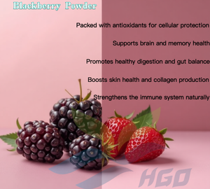 HGO Factory Fourniture directe de poudre de mûre naturelle pure (qualité alimentaire) Spécification Poudre de fruits (poudre de fruits ou de légumes) - Product Image 5