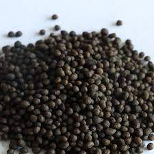 Engrais granulaire au phosphate de roche avec une pureté de 99 % pour usage agricole DAP - Product Image 3