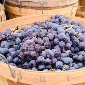 Uvas Frescas Rojas Crimson Sin Semillas, Orgánicas, de Súper Calidad, Estilo Premium, en Venta - Product Image 1