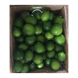 Limones cítricos frescos de Vietnam Suministro agrícola de sabor a tarta picante con larga vida útil para exportación al por mayor - Product Image 1