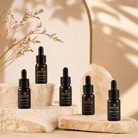 Lot de Bouteilles Vides en Verre pour Parfums Arabes, Diffuseurs à Bâtonnets, Flacons Cosmétiques à Vaporisateur et Compte-gouttes, Boîtes d'Emballage pour Oud – Achat en Gros