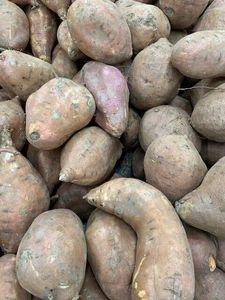 Exportation de patates douces fraîches congelées de haute qualité pour l'exportation, patates douces japonaises au miel à vendre - Product Image 5