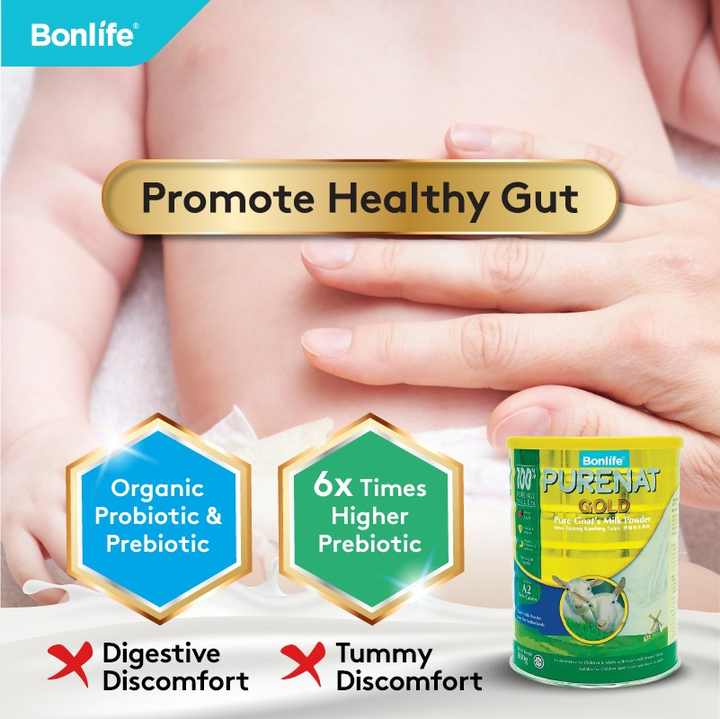 Bonlife Purenat Gold Goat Milk with Probiotic & Omega 3 Blend for Easy Digestion & Energy (800g / 400g Can) DHA, ALA for Brain