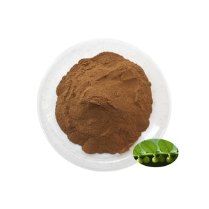 Polvo de extracto de <span class=keywords><strong>Phyllanthus</strong></span> Niruri de alta calidad, polvo de extracto de <span class=keywords><strong>Phyllanthus</strong></span> <span class=keywords><strong>Urinaria</strong></span> 10:1 20:1 para el hígado - Product Image 2