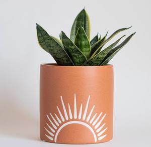 Pot de fleurs en céramique rustique en terre cuite avec motif soleil couchant, support de plantes décoratif d'intérieur durable - Product Image 1