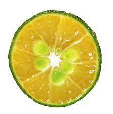 Purée aseptique Calamansi Calamansi Concentré de jus Arôme floral lumineux d'agrumes non affinés Convient aux végétariens et végétaliens - Product Image 4