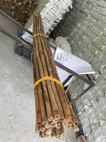 Cañas de plantas de bambú verde de alta calidad Caña de bambú entera o poste directo de los fabricantes Materias primas de calidad Producto 2025