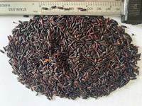 Arroz Jazmín de Vietnam, Grano Largo, Seco, Sin OMG, Ingredientes Nutritivos, Alimento Estándar de Exportación, Venta al por Mayor, OEM, Marca Privada