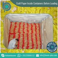 Pâtes Macaroni Bella Brand 5kg Égypte Certifiées ISO Haute Qualité Formes Variées Sac Vente en Gros Commerce de Gros Exportation