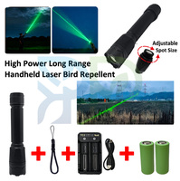Vente directe d'usine, lampe torche laser anti-oiseaux à large portée, étanche, pour usage commercial