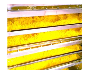 POUDRE DE CURCUMA SÉCHÉE POUDRE D'AMIDON PUR DE CURCUMA - Product Image 1