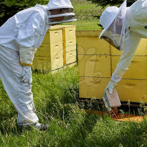 ถุงมือป้องกันมือและแขนถุงมือเพื่อความปลอดภัยถุงมือเลี้ยงผึ้งหนังแท้ - Product Image 6