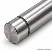 Two Retaining Ring Groove Locating Shaft in Custom Carbon Steel