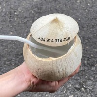 Coco Entero Pulido de Vietnam para Grandes Cadenas de Tiendas e Importadores