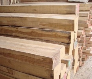 ไม้ตัดเลื่อยที่สวยงามและทนทานจากเวียดนาม - Product Image 1