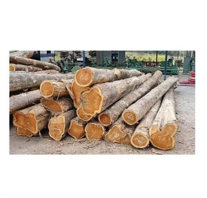 Troncos de madera de teca - Product Image 4