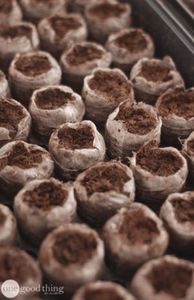 Granulés de tourbe de coco pour le milieu de culture biodégradable organique de départ de graine - Product Image 6