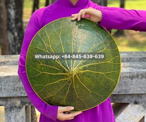 หมวกระบายอากาศและน้ำหนักเบาเหมาะสำหรับวันชายหาดและกิจกรรมกลางแจ้ง - Product Image 5