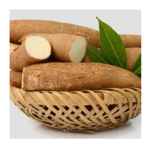 Grandes racines de manioc congelées: manioc IQF de qualité pour une excellente cuisson 2025 vente en gros d'une qualité inégalée à des prix compétitifs - Product Image 4