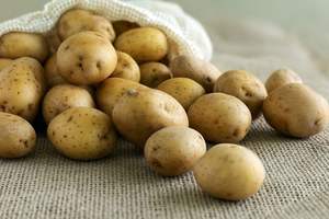 Pommes de terre fraîches (Solanum Tuberosum) de qualité supérieure, prix promotionnel, en vente - Product Image 6