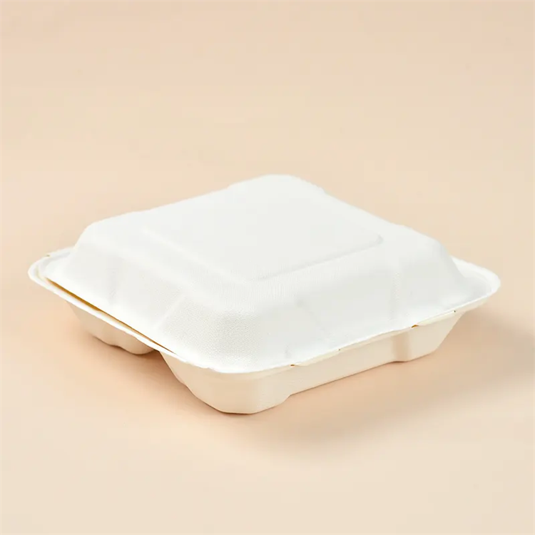 Sugarcane Bagasse Pulp 100% Biodegradable Disposable Take Away Food ...